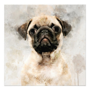 Mops Dog Watercolor Portrait 01 Fotodruck