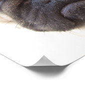 Mops Doster drucken Poster (Ecke)