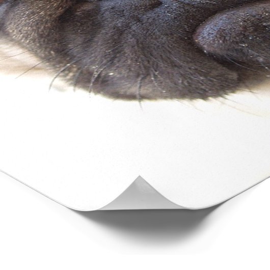 Mops Doster drucken Poster (Ecke)