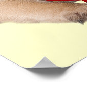 Mops Ein Weihnachtsstern drucken Poster (Ecke)