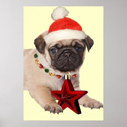 Mops Ein Weihnachtsstern drucken Poster (Vorne)