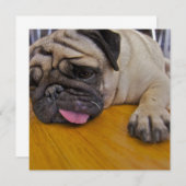 Mops eine zu viele Einladung (Vorne/Hinten)