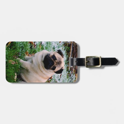 Mops-Einsatz Ihr eigenes Foto Gepäckanhänger (Vorderseite horizontal)