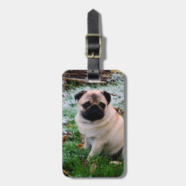 Mops-Einsatz Ihr eigenes Foto Gepäckanhänger