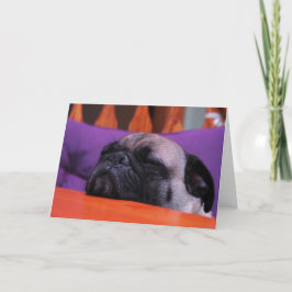 Mops erhalten wohle Karte