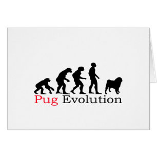 Mops-Evolution