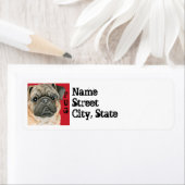 Mops-Farbblock (Insitu)