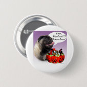 Mops (fawn) Halloween Candy Button (Vorne & Hinten)