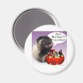 Mops (fawn) Halloween Candy Magnet (Vorderseite/Rückseite)