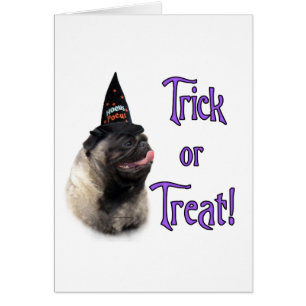 Mops (fawn) Trick