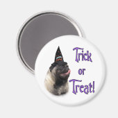 Mops (fawn) Trick Magnet (Vorderseite/Rückseite)
