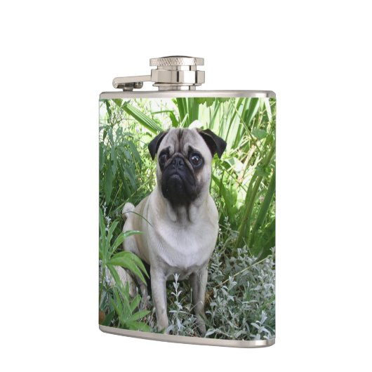 Mops Flachmann (Links)