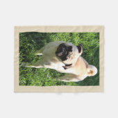 Mops-Fleecedecke Fleecedecke (Vorderseite (Horizontal))