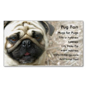 Mops Foto - Magnet Business Card (Vorderseite)