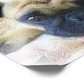 Mops Fotodruck (Ecke)