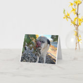 Mops Geburtstag lustig Karte (Gelbe Blume)