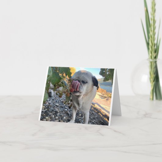 Mops Geburtstag lustig Karte (Vorderseite)