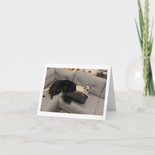 Mops Geburtstagskarte lustig Karte (Vorderseite)