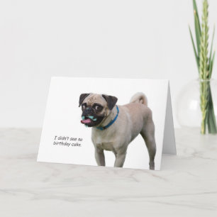 Mops Geburtstagskarte nach Fokus für eine Sache Karte