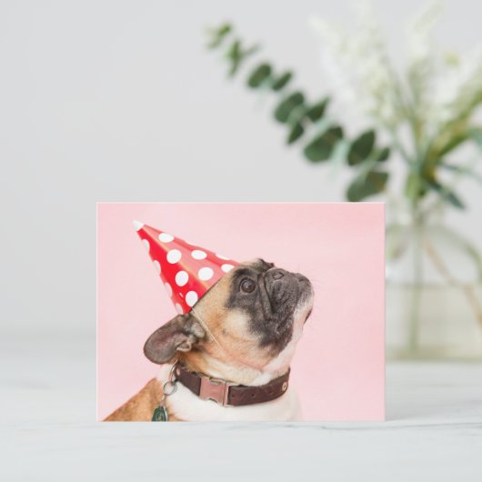 Mops Geburtstagskarte Postkarte (Stehend Vorderseite)