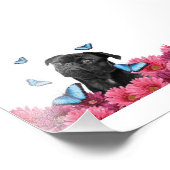 Mops Gerbera Butterflies | Niedlicher Schwarzhund Fotodruck (Ecke)
