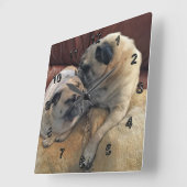Mops Geschenke für Mops Liebhaber oder Ihr FOTO Uh Quadratische Wanduhr (Winkel)