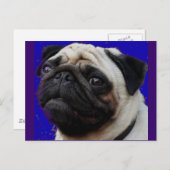 Mops—Geschenke—Verliebtes Gesicht Postkarte (Vorne/Hinten)