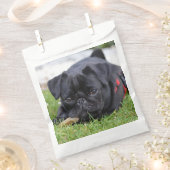 Mops Geschenktütchen (Ausgeschnitten)