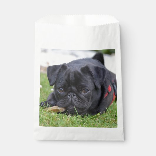 Mops Geschenktütchen (Vorderseite)