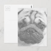Mops-Gesicht Postkarte (Vorne/Hinten)
