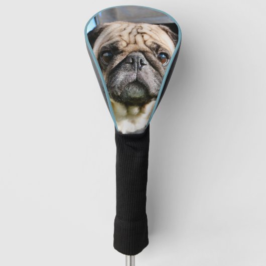 Mops Golf Headcover (Vorderseite)