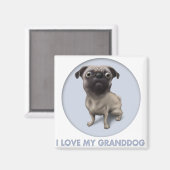 Mops Granddog Magnet (Vorderseite/Rückseite)