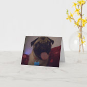 Mops Greetingcard Machi Karte (Gelbe Blume)