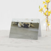 Mops-Gruß-Karte spähend - löschen Sie nach innen Karte (Gelbe Blume)