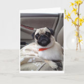 Mops-Grußkarte Karte (Gelbe Blume)