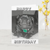 Mops Happy Birthday Card Karte (Gelbe Blume)