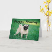 Mops Happy Birthday Karte (Gelbe Blume)