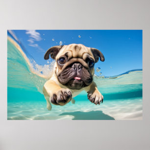 Mops Haustier Tierspass Wasserspielen Poster