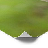 Mops Head Cocked Blick auf Kamera Poster (Ecke)