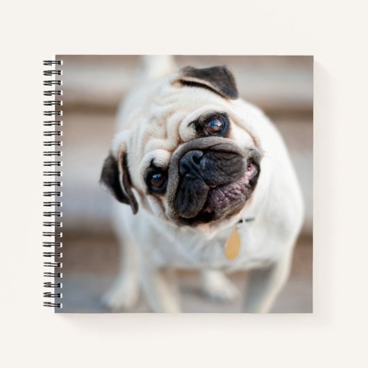 Mops Head Tilt Notizblock (Vorderseite)