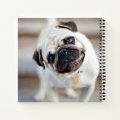 Mops Head Tilt Notizblock (Rückseite)