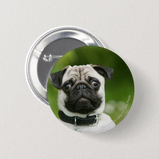Mops Headshot Button (Vorne & Hinten)