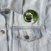 Mops Headshot Button (Beispiel)