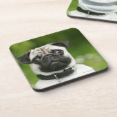 Mops Headshot Getränkeuntersetzer (Linke Seite)