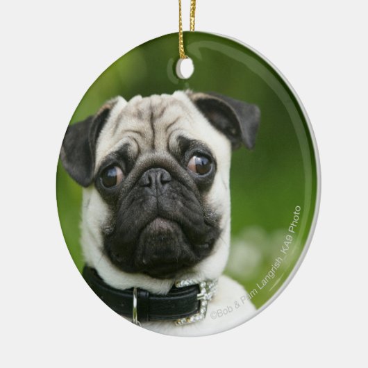 Mops Headshot Keramikornament (Links)