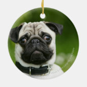 Mops Headshot Keramikornament (Hinten)