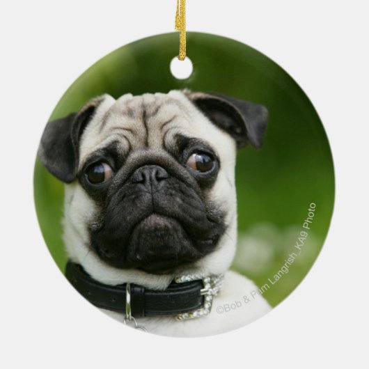 Mops Headshot Keramikornament (Hinten)
