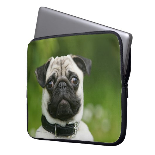 Mops Headshot Laptopschutzhülle (Vorderseite Links)
