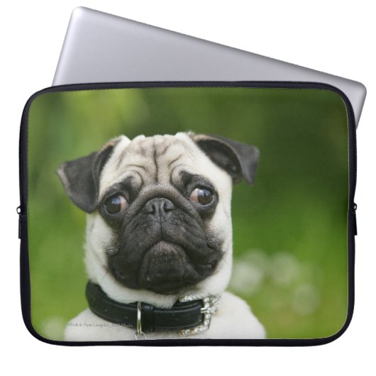 Mops Headshot Laptopschutzhülle (Vorderseite)