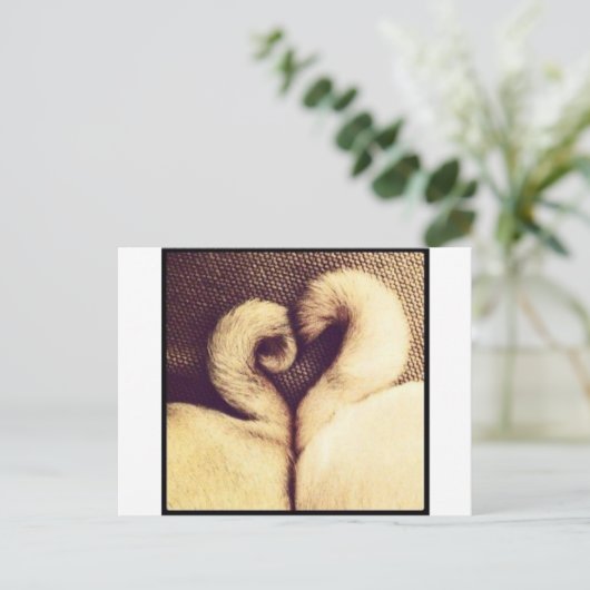 Mops Heart Schwanzes Postkarte (Stehend Vorderseite)